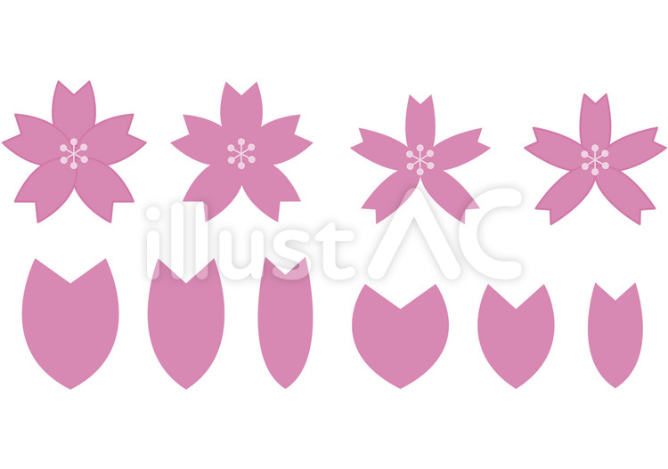 桜の花と花びらいろいろ 桜,さくら,サクラのイラスト素材