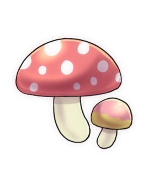 mushroom, mushroom, autumn, JPG and PNG