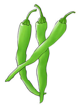 Red pepper (green), , JPG and PNG