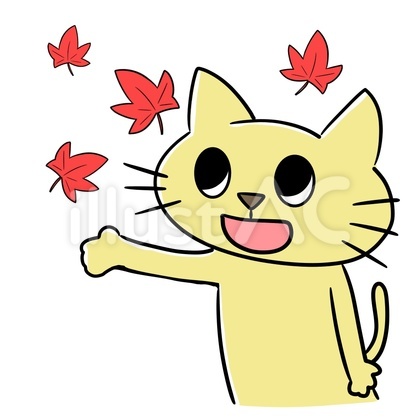 秋を感じる猫