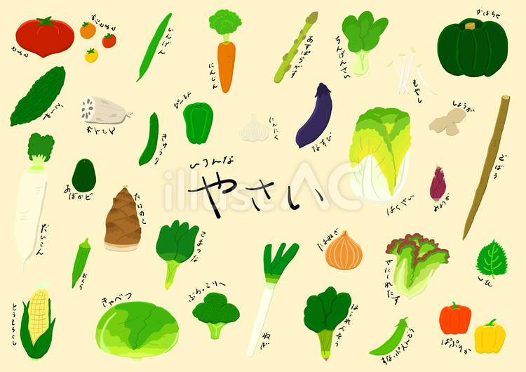 いろんな野菜＿線なし 野菜,やさい,ベジタブルのイラスト素材