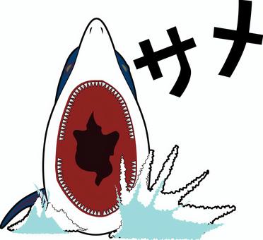 サメ　　 サメ,肉食,海,危険,口,生き物,恐怖,線画,カタカナのイラスト素材