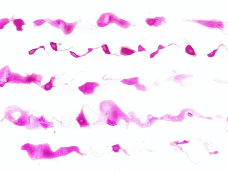 水彩素材ピンク 水彩,水彩画,滲み,おしゃれ,背景,曲線,綺麗,自然,ナチュラル,テイストのイラスト素材