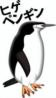 ヒゲペンギン　