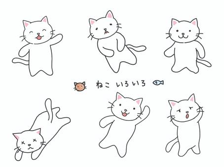 さまざまなポーズをしているゆるい白猫 白猫,動作,ゆるい,笑う,歩く,白い,手を挙げる,うれしい,顔,困ったのイラスト素材