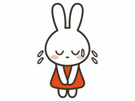 大汗をかいて謝るかわいいうさぎキャラ うさぎ,謝る,焦る,かわいい,汗,反省,お詫び,お辞儀,ごめんなさい,礼のイラスト素材