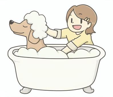 シャンプーをされる犬 犬,グルーミング,シャンプー,衛生,動物病院,トリミング,トリマー,dog,皮膚病,ペットサロンのイラスト素材