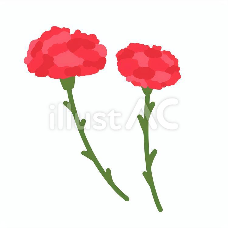 【手書き】カーネーション【ゆるかわいい】 カーネーション,花,５月のイラスト素材