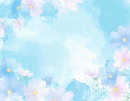 コスモスの背景