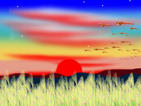 里の夕焼け。 夕焼け,ススキ,秋あかね,里,秋,風景のイラスト素材