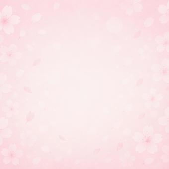 桜が舞う春の背景 春,背景,桜,花びら,ピンク,光,ぼけ,グラデーション,やわらかい,明るいのイラスト素材