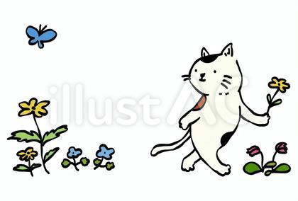 振り向く猫 春