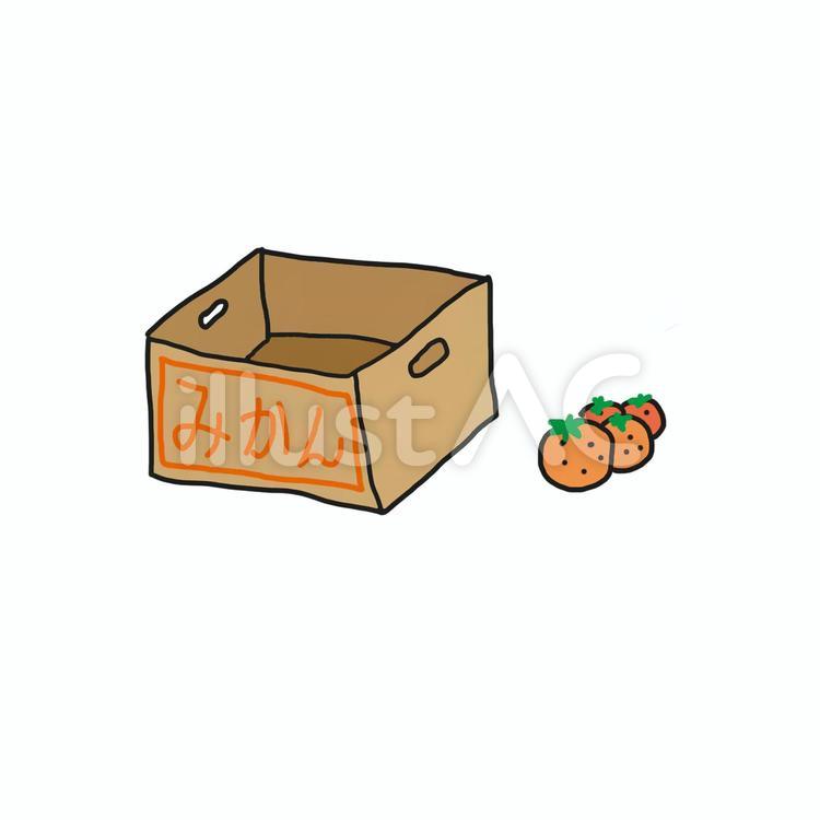 みかん みかん,箱,ダンボールのイラスト素材