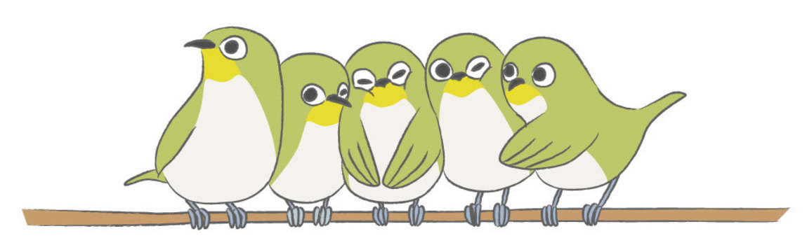 Mejiro, JPG, PNG and AI Mejiro, mezzo, bird, branch, JPG, PNG and AI