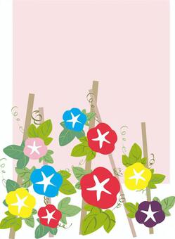 Illustration, morning glory, flower, summer greeting card, JPG, PNG and AI