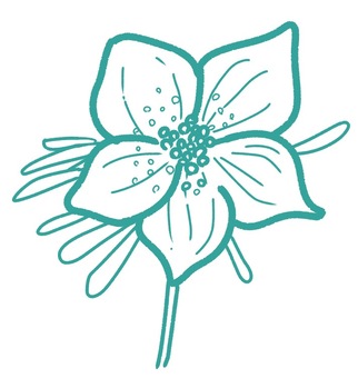 花 花 花,植物,草のイラスト素材