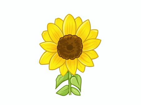 ひまわり 単品 ひまわり,花,単品,手描き,夏のイラスト素材