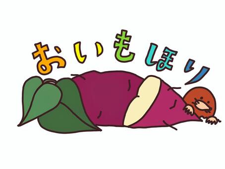 芋掘り　タイトル さつまいも,芋掘り,おいも,タイトル,見出し,文字,手描き,もぐら,ゆるい,素朴のイラスト素材
