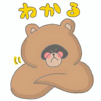 分かる♪ 分かる♪ たぬき,かわいい,分かる,共感,納得,うなずく,理解,どうぶつ,いきもの,可愛いのイラスト素材