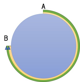 池の旅人算追いかけ 算数,図形,テスト,中学受験,旅人算,小学生のイラスト素材