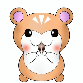 hamster, hamster, animal, small animals, JPG and PNG