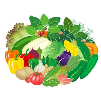 夏野菜 夏,野菜,食べ物,ゴーヤ,オクラ,キュウリ,ズッキーニ,枝豆,茄子,トマトのイラスト素材