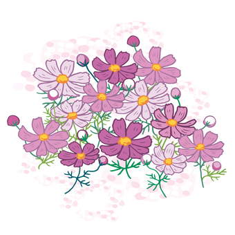 コスモス01 コスモス,秋桜,お出かけスポット,ピンク,コスモス畑のイラスト素材