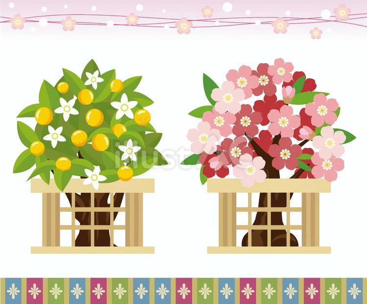 ひな祭り　橘の木と桜の木 桃の節句,ひな祭り,橘のイラスト素材