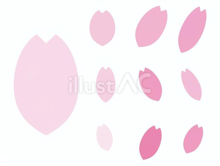桜 桜,花びら,春のイラスト素材