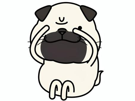 パグさん チラ見 チラ見,覗き見,パグ,恐る恐る,キャラクター,小型犬,犬,動物,哺乳類,ベクターのイラスト素材