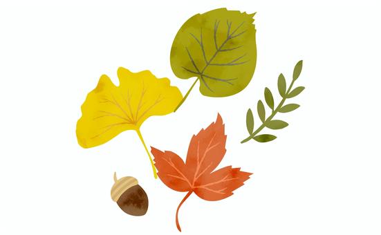 秋の木の実と落ち葉のシンプルイラスト3 秋,花,植物,水彩,手書き,簡単,イメージ,落ち葉,季節,10月のイラスト素材