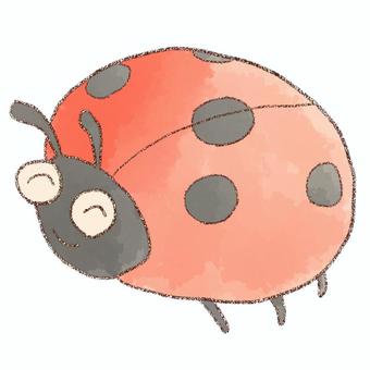 ご機嫌テントウムシ