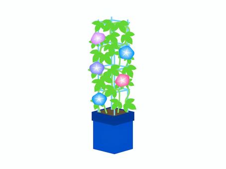朝顔の栽培キット 朝顔の栽培キット アサガオ,花,植物,風物詩,夏,プランター,葉っぱ,育てる,植える,アイコンのイラスト素材