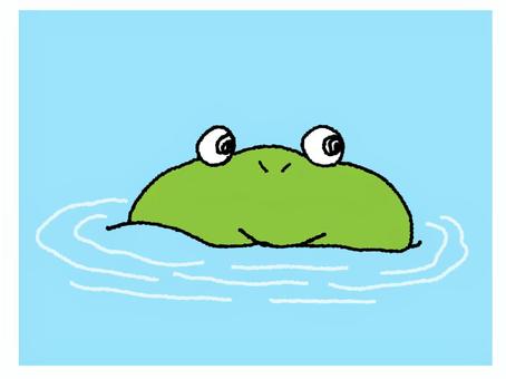 見るカエル 見るカエル カエル,見る,目,口,水面,pop調,手描き,お知らせ用,宣伝用,素材のイラスト素材