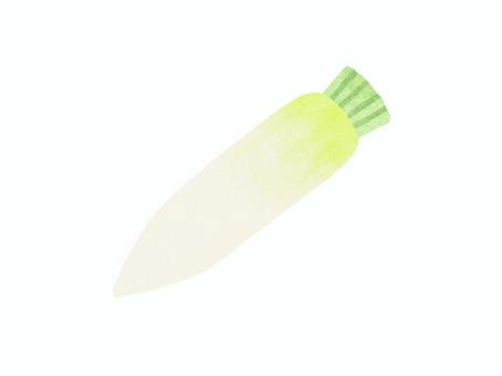 大根