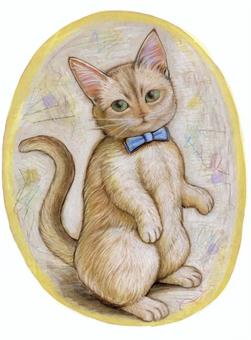 立ちあがる猫　背景あり ねこ,マンチカン,色鉛筆,素朴,優しい,手描きのイラスト素材
