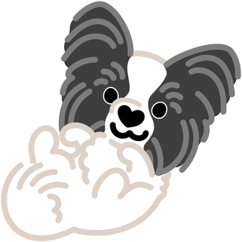 ハート鼻のパピヨン（ごろん）3 パピヨン,犬,動物,ハート,鼻,ゴロン,寝転がる,仰向け,シンプル,かわいいのイラスト素材