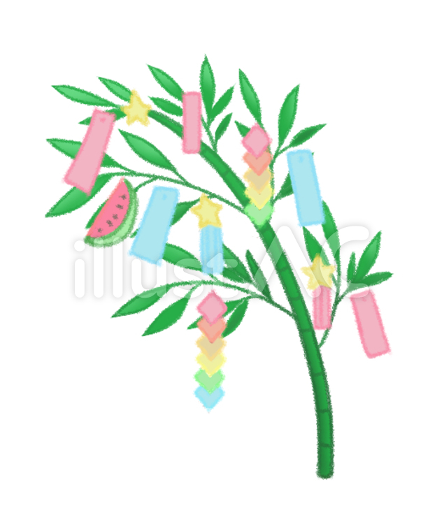 七夕の笹２ 七夕,笹,七夕飾りのイラスト素材