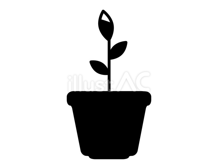 黒のつぼみのある植物の植えてある植木鉢 植木鉢,つぼみ,花のイラスト素材