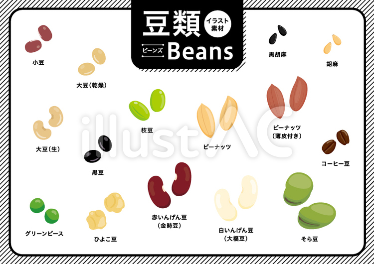 豆類のセット 豆,小豆,大豆のイラスト素材