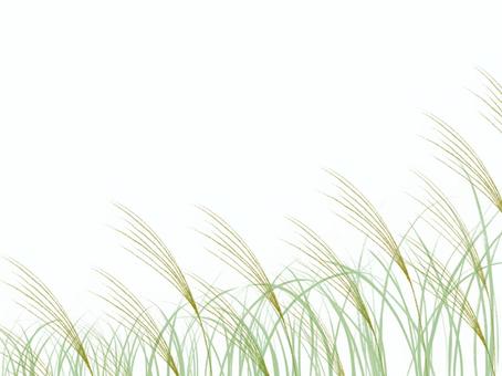 ススキ野原 すすき,ススキ,葉,草,お月見,フレーム,背景,飾り枠,風景,景色のイラスト素材