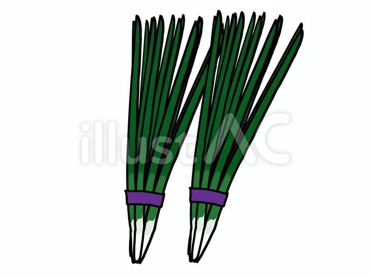 野菜 にら,野菜,夏野菜のイラスト素材