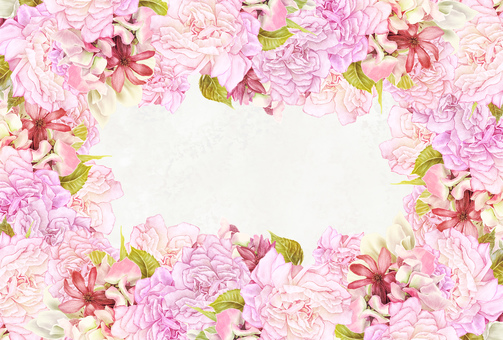Illustration, flower, rose, plant, 