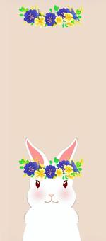 一筆箋　白色のうさぎ2