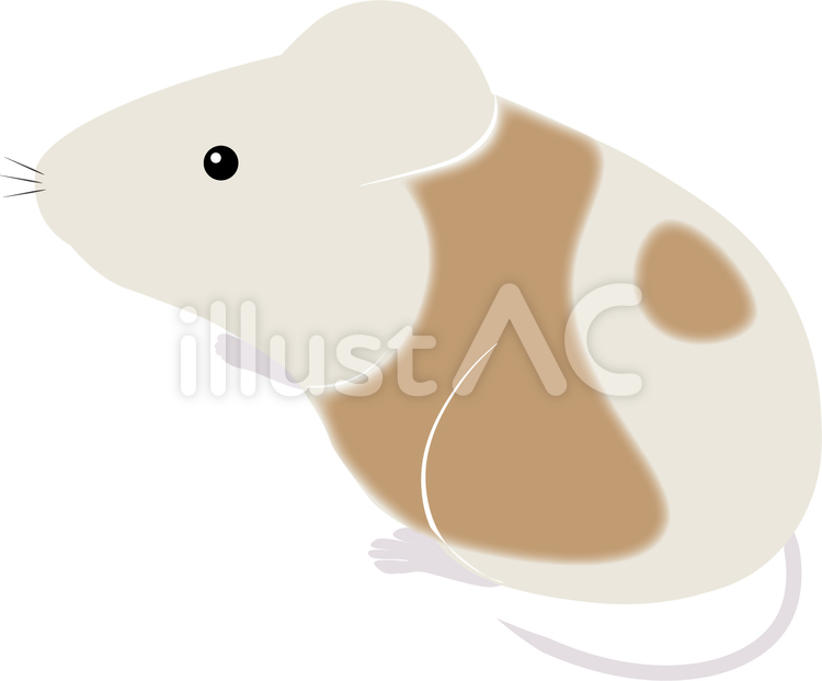 マウス　実験 マウス,実験,動物実験のイラスト素材