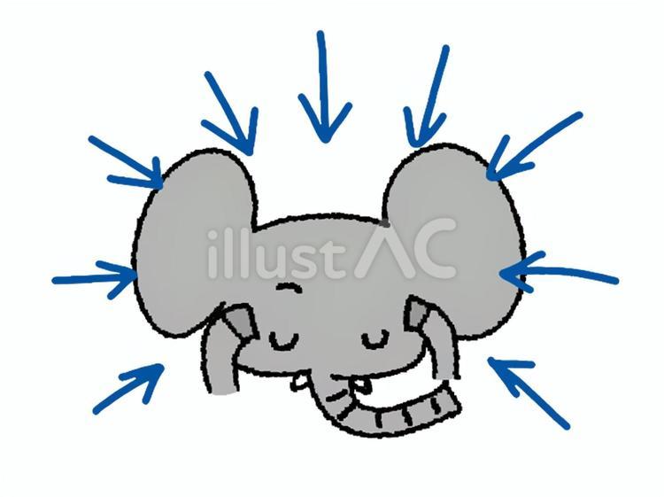 集中するゾウ ゾウ,集中,矢印のイラスト素材