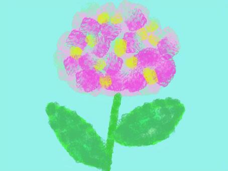 Illustration, hydrangea, flower, flowers, 