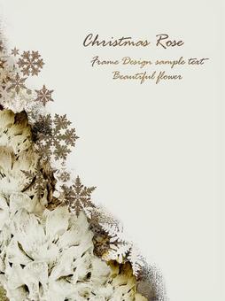 Material 147 Christmas rose and snowflake, JPG and PNG Material 147 Christmas rose and snowflake, , JPG and PNG