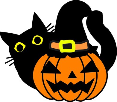 Pumpkin and black cat, halloween, black cat, pumpkin, JPG and PNG