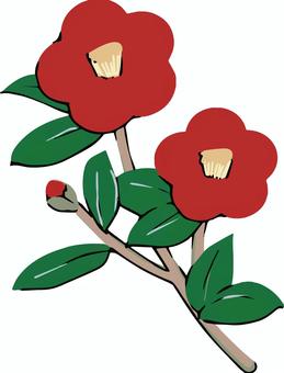 Illustration, camellia, simple, bud, 